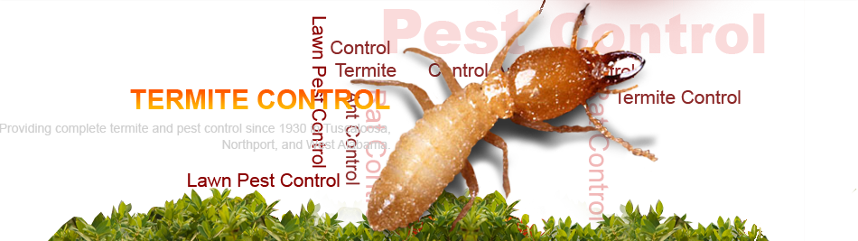 Local Pest Control
