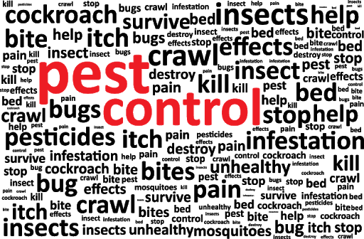 Is Hiring Pest Control Company for Property Beneficial?