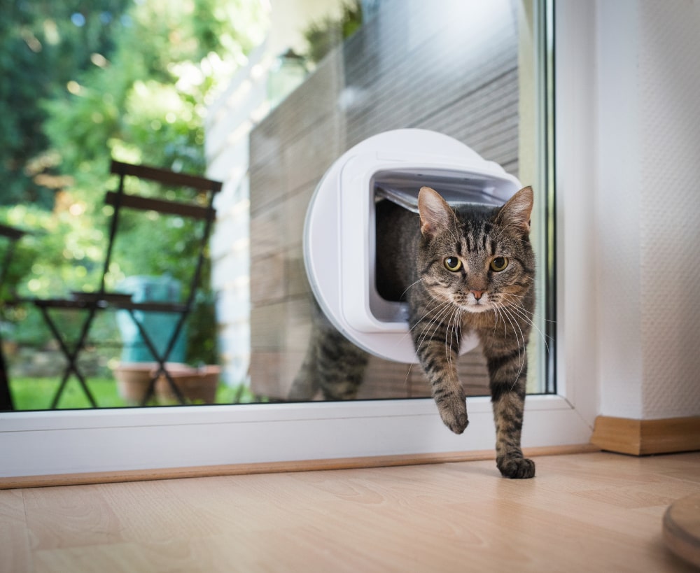 Protect Your Home And Your Pets With A Magnetic Cat Flap