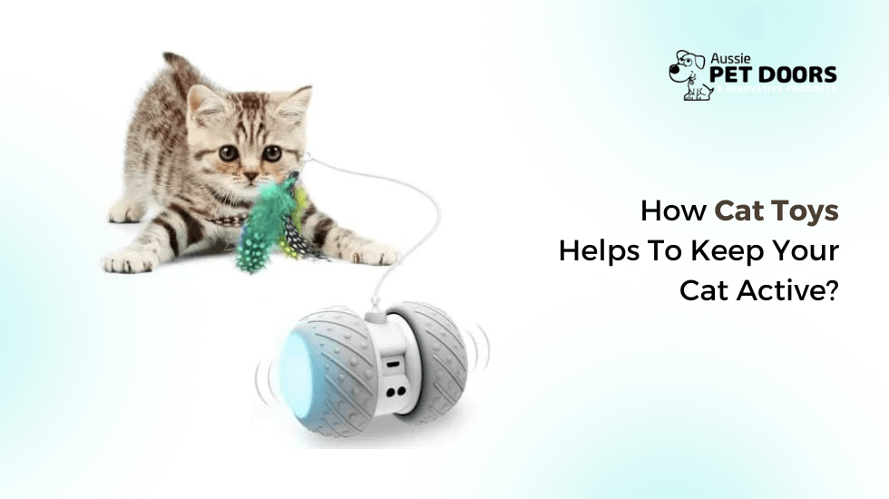 How Cat Toys Helps To Keep Your Cat Active?