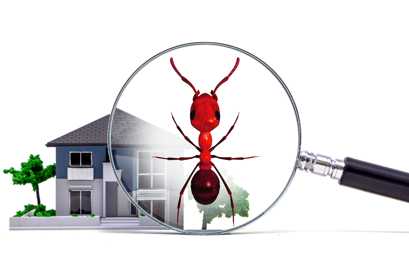 Protecting Your Home: The Importance of Professional Pest Control Services