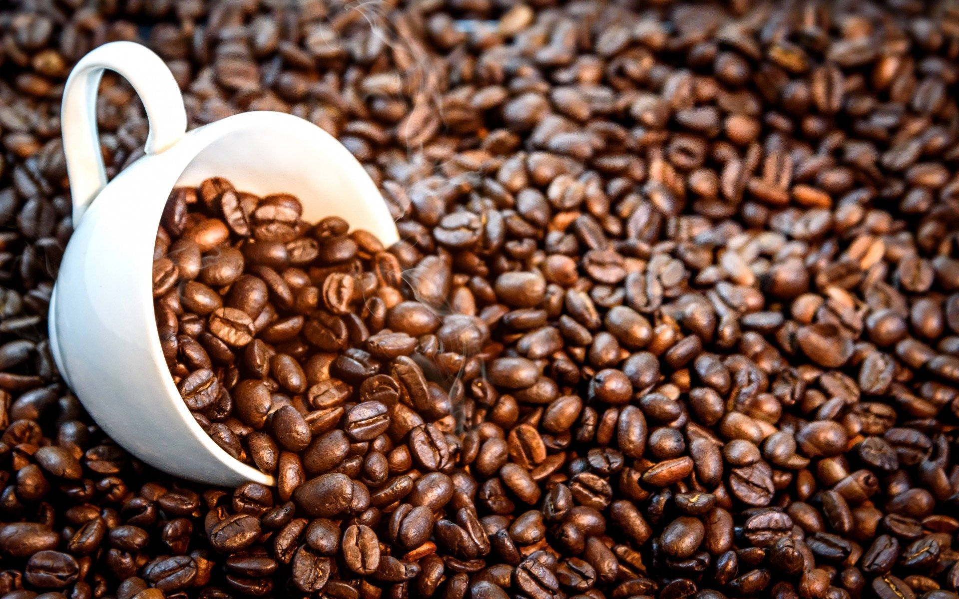 Awaken Your Senses: Discovering The Diversity Of Coffee Beans
