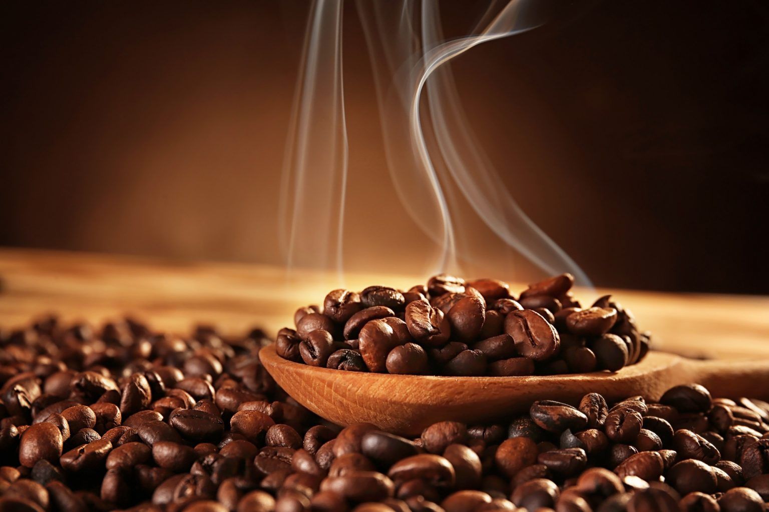 Roast and Revel: How to Choose the Best Coffee Beans for Your Cup?
