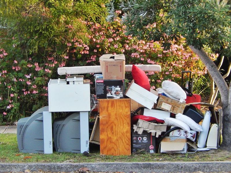 How Can a Junk Removal Professional Simplify Your Life?